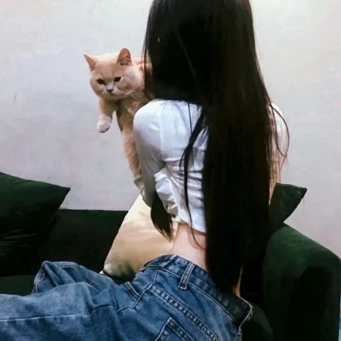 晚安，母亲